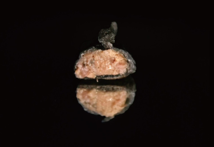 佛跳牆餃子